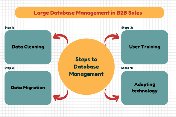 steps to database management